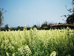 -洪湖家庭农场·团建·露营·会议