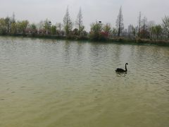 -艾溪湖湿地公园