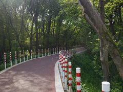 -紫金山山顶公园