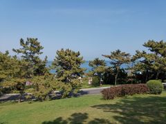 -棒棰岛宾馆景区
