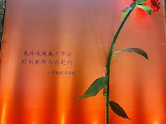 -破店肥哈·海鲜·烧烤(农科路店)