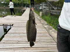 -新怡路亚垂钓园