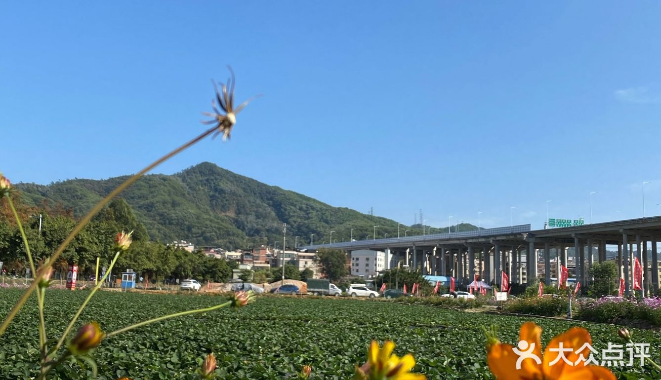 草莓季🍓遛娃圣地🍓