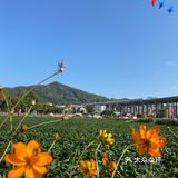 草莓季🍓遛娃圣地🍓