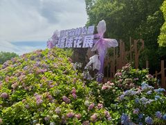 -上海滨江森林公园