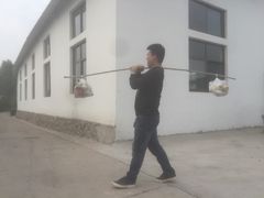 -东方巨龟苑景区