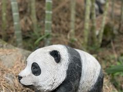 -大本营竹筒饭