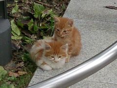 -苏州河梦清园环保主题公园