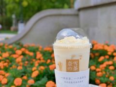 -奈雪的茶(天河城店)