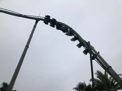 -飞天翼龙
