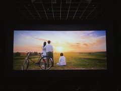 -中影100都市影城(彩虹城店)