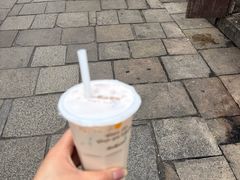 -猫的魔法密林(衣裳街店)