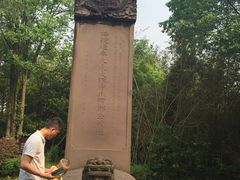 -邓小平故里