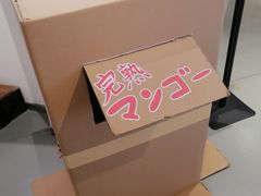 -Sony Store 索尼(上海淮海中路店)