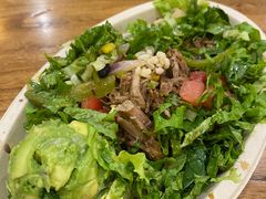 -油梨树 AVOCADO TREE(亮马桥店)