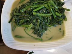 -台北楚楚园馅饼粥(虹桥南丰城店)