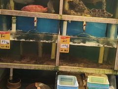 -鑫悦楼煎蟹·16年海鲜大排档