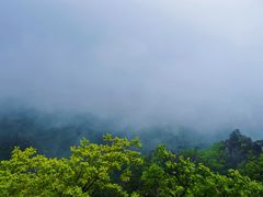 -大连天门山国家森林公园