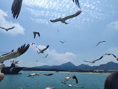 -海驴岛(荣成市)