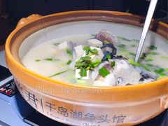 千岛湖招牌鱼头砂锅-姜君·千岛湖鱼头馆(浦东大道店)