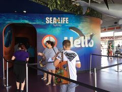 -悉尼海洋生物水族馆