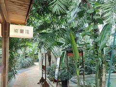 -麦积山温泉