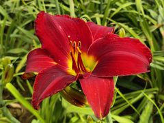 -汉长安城未央宫国家考古遗址公园