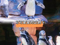 -长鹿旅游休博园