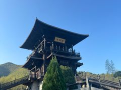 -大唐贡茶院