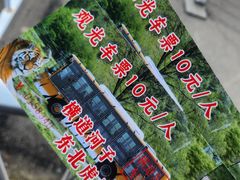 -横道河子东北虎林园