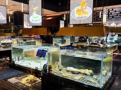-璞御·海鲜·雪花牛肉局(宾水西道店)