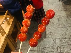 -华馨园北京烤鸭