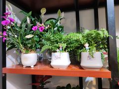 -溪岸路花鸟市场