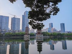 -宝岛公园