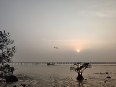 -宝安西湾红树林湿地公园