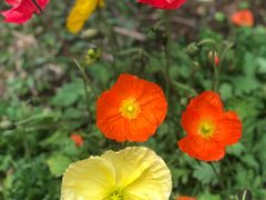 -人民公园(罗湖区)