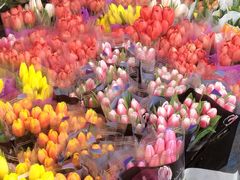 -循礼门鲜花花市(武汉循礼门店)