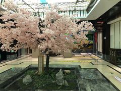 -添赐温泉馆(上南路店)