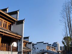 -洋湖国家湿地公园
