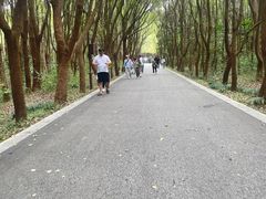 -同里国家湿地公园