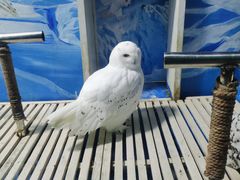 -成都浩海立方海洋公园