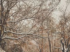 -秦岭终南山世界地质公园翠华山景区