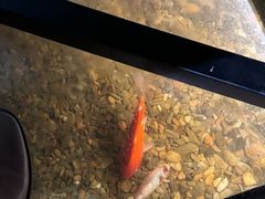 -聚缘堂·海鲜私房菜(松岭路店)