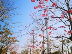 -二沙岛艺术公园