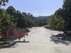 -东莞市大岭山森林公园
