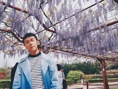 -嘉定紫藤园