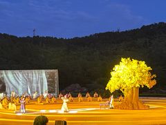 -鼎盛王朝康熙大典实景演出