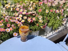 -Beans Solo豆号咖啡(百家湖花园店)