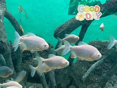 -常州海昌海洋探索馆