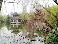 -水绘园